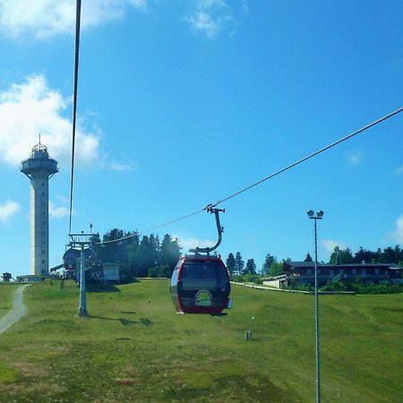 Fewo E Am Kurpark Willingen  Luaran gambar